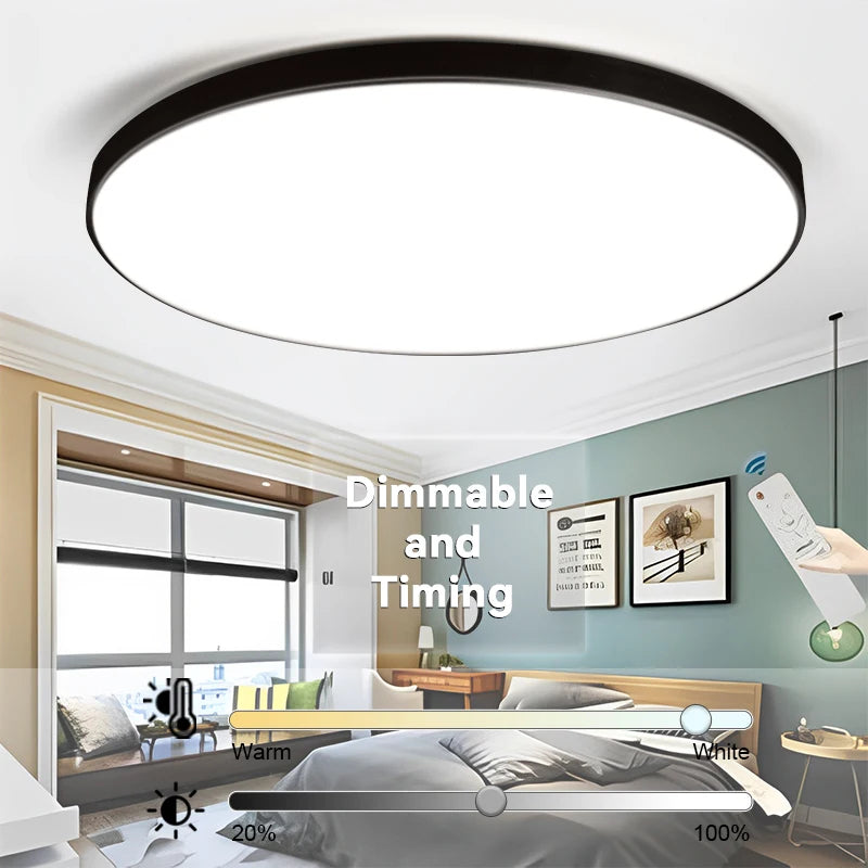 LED Ceiling Lamp